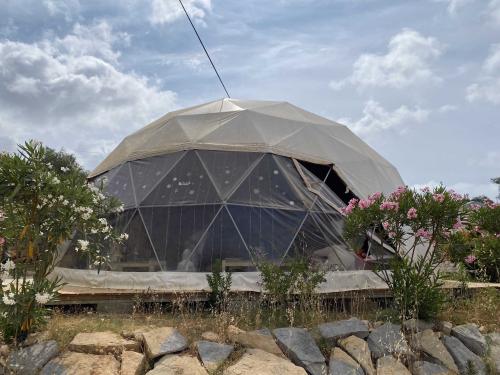 the_dome_close_up_converted_converted_converted